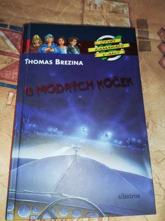 Kniha - čtyři kamarádi v akci - 13 modrých koček, 