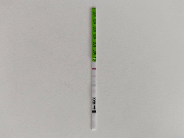 Uviděla jsem na těhotenském testu druhou čárku?