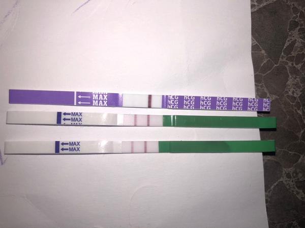 Ovulace 44. den cyklu nebo příznaky těhotenství?