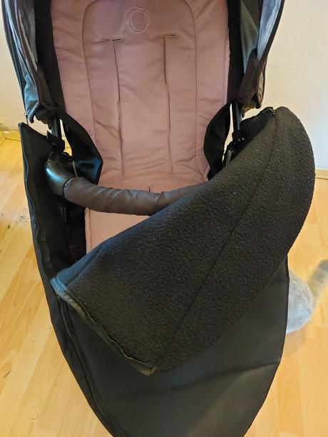 Nánožník s beránkem umělým..., 