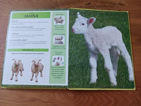 Kniha puzzle, 