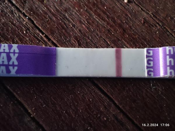 Vidím tam rysku nebo je to jen optický klam?