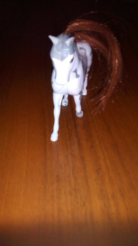 Kůň se třpytivou hřívou,