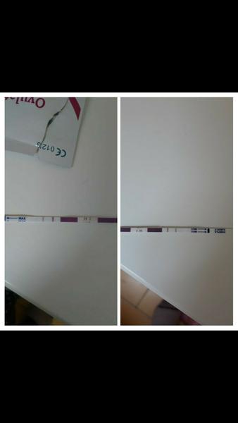 Ovu. Je možné, že ji oddálí Penicilin?