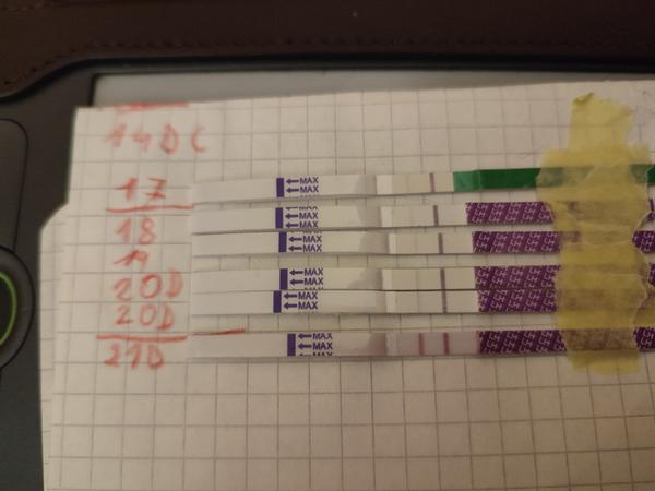 Úspěšné početí v červnu: Nasazení conceive gelu pomůže?