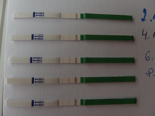 Ovulační test, je nějaký den pozitivní?