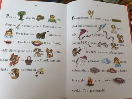 Kniha rok s pejskem a kočičkou,