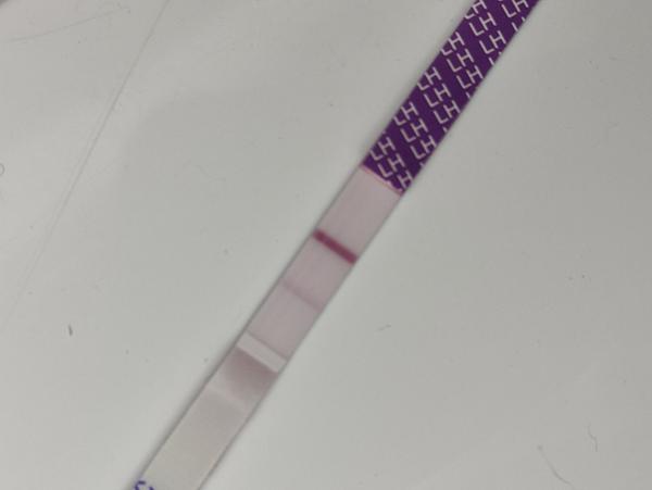 Je ovulace na dosah? Diskutujte o vašich testech a zkušenostech