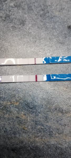 Vidíte něco na testu těhotenství?