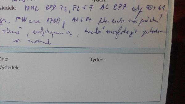 Holky, furt se děsím, placenta na přední straně