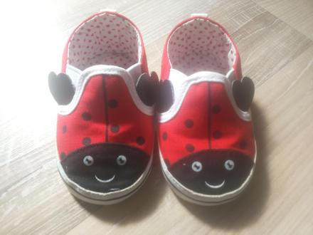 Berušky capačky, 18