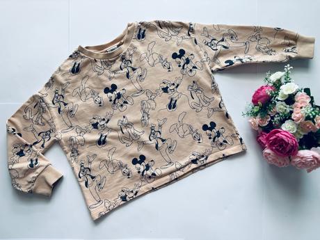 K1/ mikina disney - v.6 let next, next,116