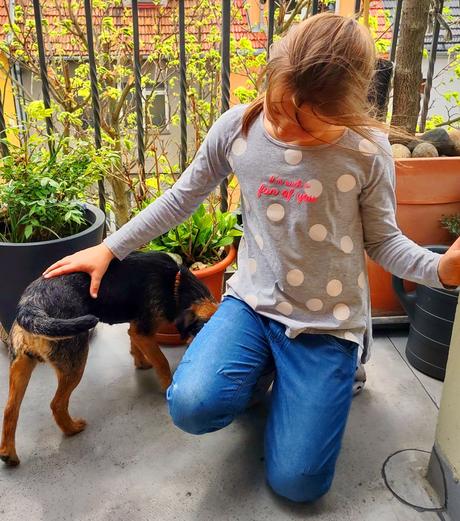 Šedé puntíkované tričko, 146