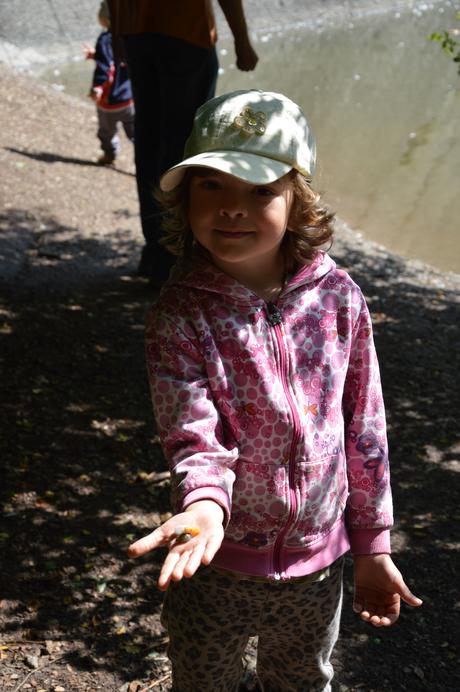 Vzorovaná mikina, bundička s motýlky, dopodopo,110