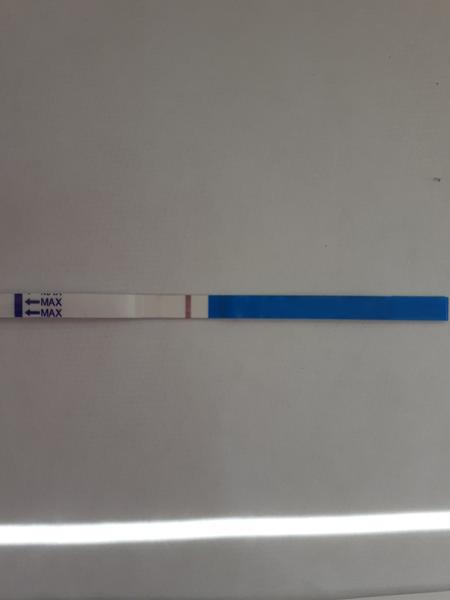 Silný duch na testu a MS. Proč je silnější, když mám ms?