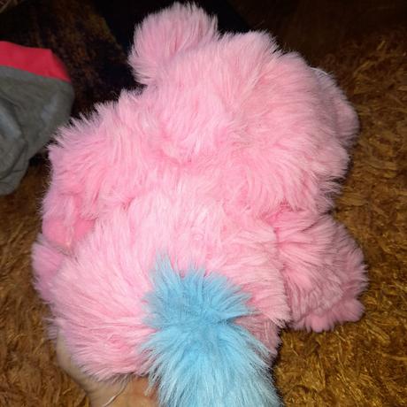 Plyšový medvídek, pejsek se zrcátkem,