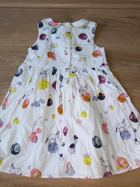 Šaty s domky, poníky 104 st. bernard, st. bernard,104