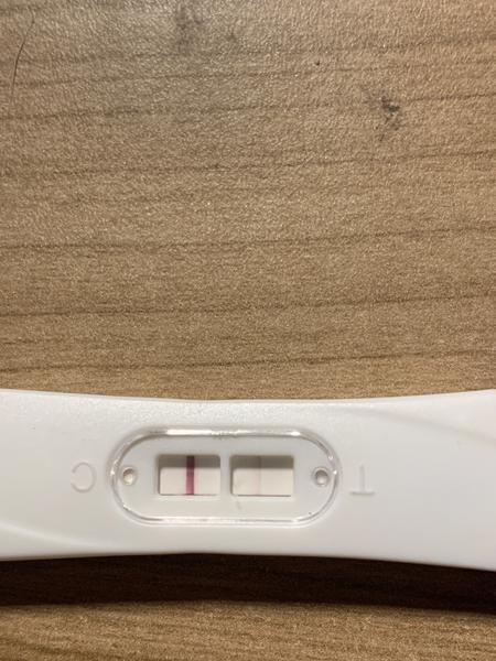 Může menstruace ovlivnit výsledek těhotenského testu?