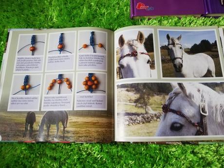 Sada knih o koních,