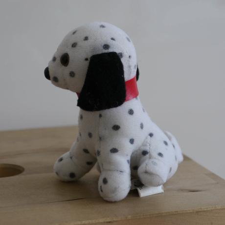 Maly pejsek dalmatyn,