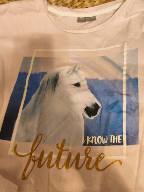 Crop top a koněm kůň, pepco,152