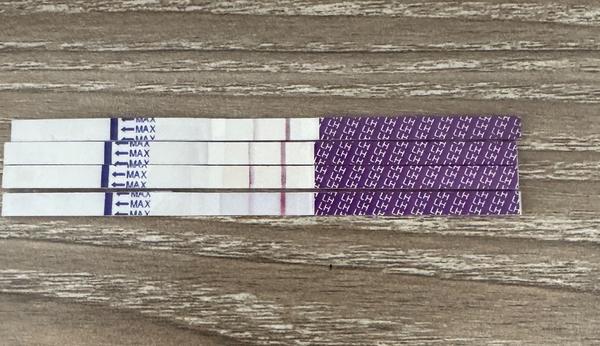 Třetí ovulační test. Je pozitivní?