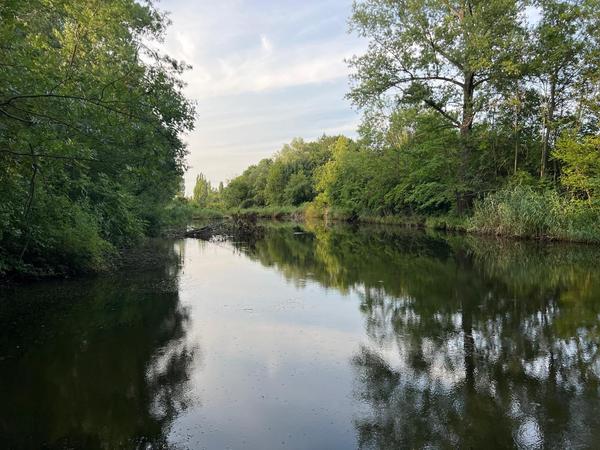 Dětské hřiště Holásky: Rodinný výlet s dětmi u Brna