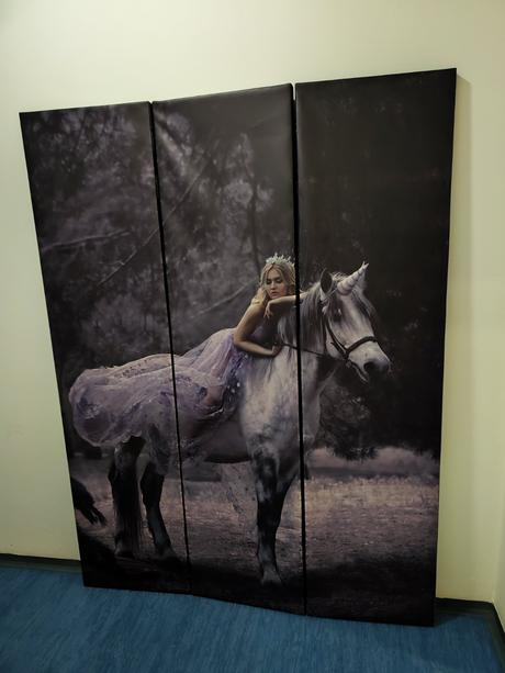 Oboustranný paraván s koněm,