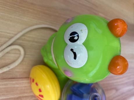 Chrastící stonožka, 