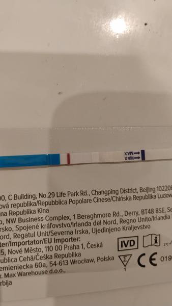 13. den po ovulaci. Jsem těhotná?