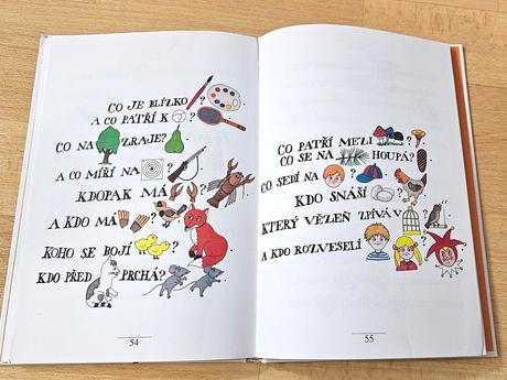 Kniha jiří havel malované čtení,