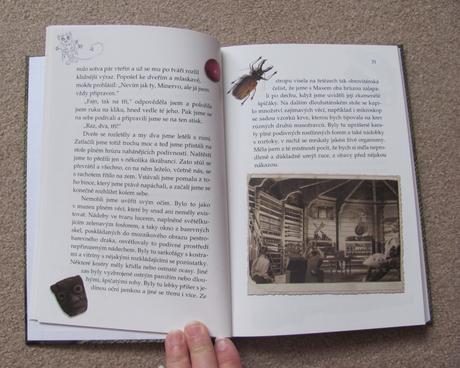 Příšerné paměti odvážňákových, 