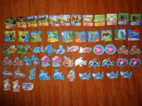 Magnety kostíci zvířátka, 