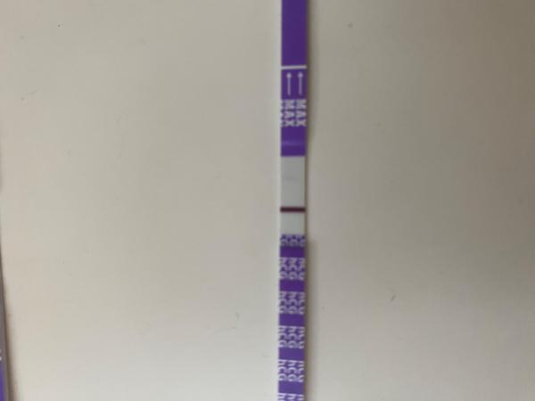 Zkušenosti s těhotenskými příznaky po potratu. Co si o tom myslíte?