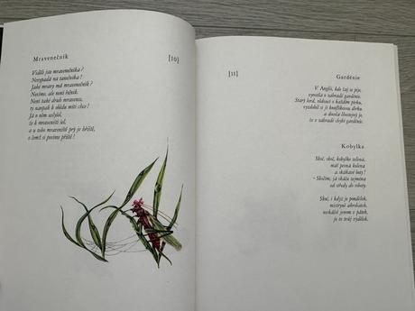 Kniha zpěvobajky a květomluva, robert desnos,