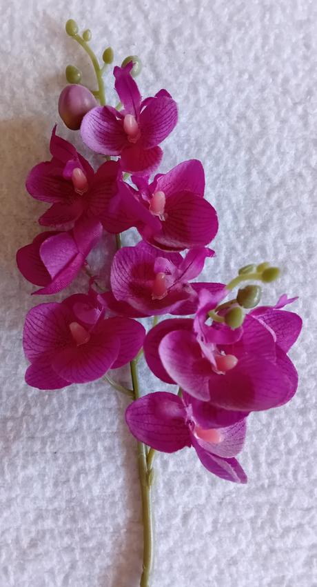 Umělé stonky orchideje,