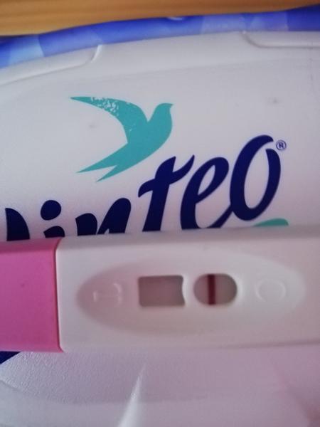 Den před ms. Je tam něco?