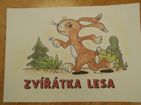 Omalovánky         6  kusů, 