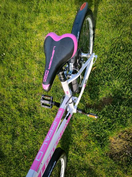 Kolo leader fox 24', 24