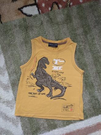 Triko bez rukávů, cactus clone,92