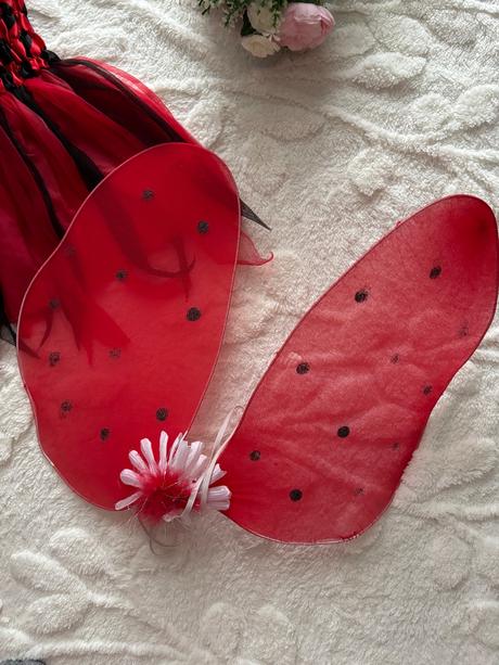 An26/ kostým beruška- v.cca 2/3 roky, 