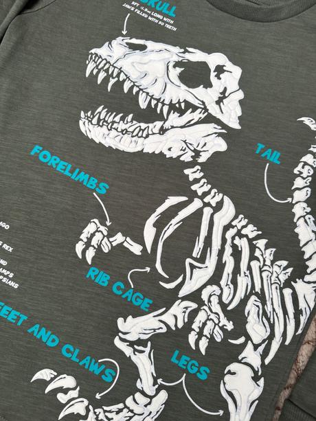 Tričko dino, next,140