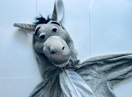 An13/ kostým oslík - v.3/4 roky,