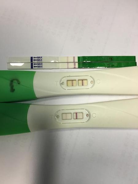 Ovu test - je pozitivní? Foto