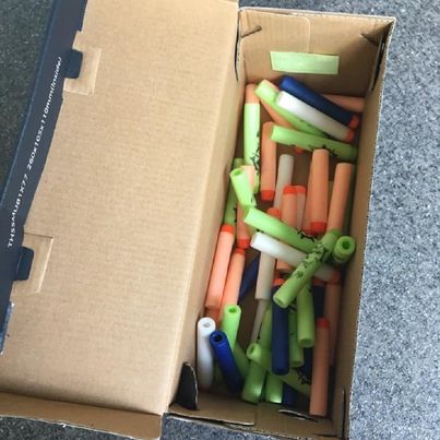 Nerf modulus evader, 