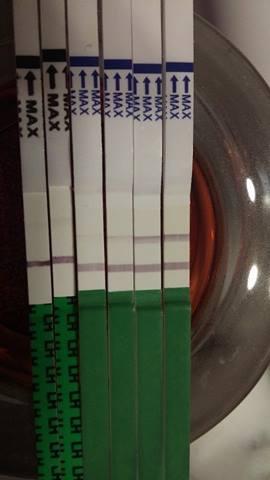 Ovulační testy, kdy měl být prosím podle Vás sex?