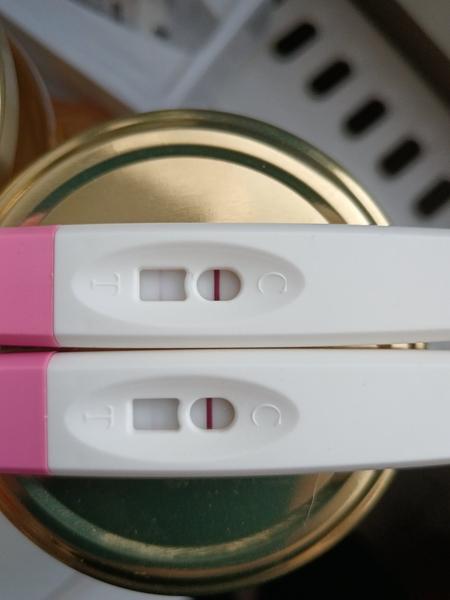 Jsem těhotná? Jak správně interpretovat těhotenské testy