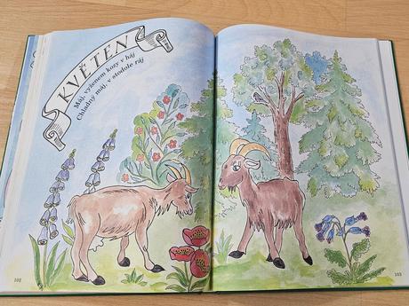 Kniha školní rok prvňáčka, 