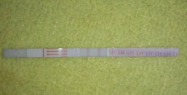 Je možné mít v jednom cyklu dvakrát ovulaci?