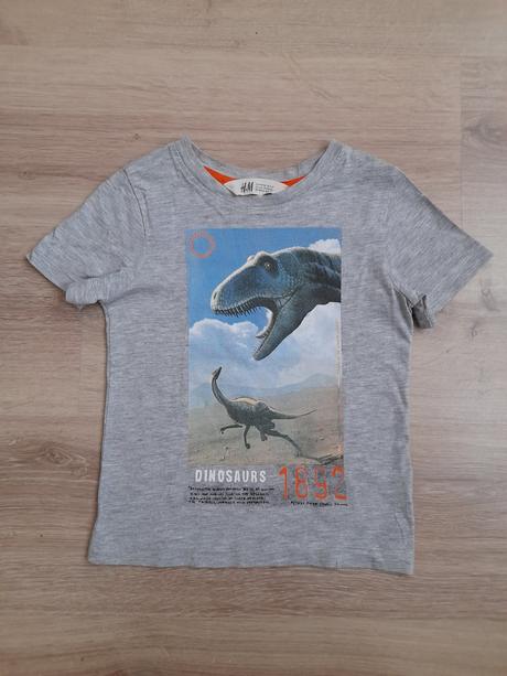 Dětské tričko s krátkým rukávem, h&m, v. 98/104, h&m,104